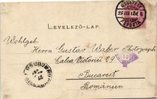 Rozsnyó, Barcarozsnyó, Rosenau; címer / coat of arms, floral, Jos. Drotleff litho (vágott / cut)