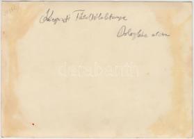 1931 Budapest, Dologház utca, Központi tűzoltólaktanya, hátoldalon feliratozva, 13x18 cm