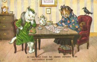 Fortune teller cat; WSSB 7230/1 Arthur Thiele style postcard