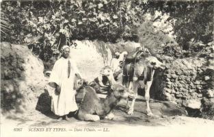 Dans lOasis / man with camels, Arabic folklore