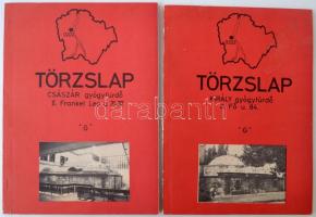 1984 A Király Gyógyfürdő, illetve a Császár Gyógyfürdő törzslapjai. Alaprajzzal, térképekkel, statisztikai adatokkal.