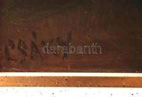 Csáky Lajos (1950-): Múló idő. Olaj, farost, jelzett, keretben, 45×35 cm