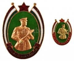 ~1970. "Kiváló Határőr" aranyozott, zománcozott jelvény eredeti tokban miniatűrrel T:2