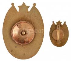 ~1970. "Kiváló Határőr" aranyozott, zománcozott jelvény eredeti tokban miniatűrrel T:2