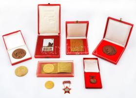9db vegyes magyar és külföldi szocialista plakett, emlékérem, kitüntetés főleg tokban, közte 1954. "BTSB 1954 Jó munkáért" fém plakett tokban (95x57mm), 1974-1984. "Lenin" Br MSZMP párttagsági emlékérem (2xklf) T:vegyes