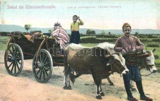 Constantinople, Char de déménagement / ox carriage, Turkish folklore (EB)