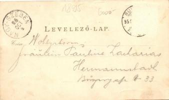 1895 (Vorläufer!!!) Budapest, Fővárosi vigadó, Régi városház, Népszínház. Leitner M. és fia floral A...