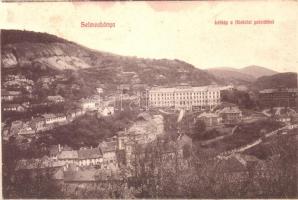 Selmecbánya, Banská Stiavnica; látkép a főiskolai palotákkal / general view with the college palaces