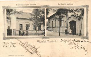 Vecsés, Herbacsek magán lakóháza, Dr. Peschl lakóháza, kiadja Herbacsek H. és fia, Art Nouveau