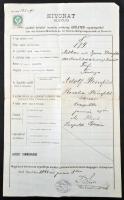 1893 Kivonat az ujvidéki kerületi izraelita hitközség születési anyakönyvéből, okmánybélyeggel (50kr.), 41x25cm