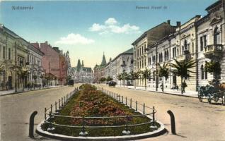 Kolozsvár, Cluj; Ferenc József út / street