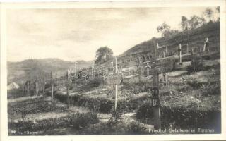 Toronya, Torun; Hősök temetője / war cemetery