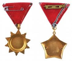 1970. "Felszabadulási Jubileumi Emlékérem" aranyozott, zománcozott Br kitüntetés mellszala...