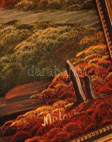 Olvashatatlan jelzéssel: Alpesi táj. Olaj, vászon, fa keretben, 48x68 cm