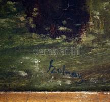 Szolnay jelzéssel: Tó az erdőben. Olaj, vászon, keretben,  44×70 cm