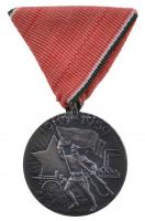 1959. "Tanácsköztársasági Emlékérem" ezüstözött Br érem mellszalaggal, dísztokban (38,5mm)...