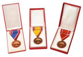 ~1970. "A Haza Fegyveres Szolgálatában" (3xklf) 10, 15, 20 év után, zománcozott fém kitüntetések, mind mellszalagon, szalagsávval, dísztokban T:1,1-,2