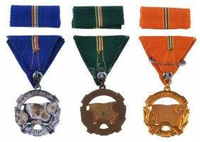 ~1960-1970. "A Haza Szolgálatáért"  (3xklf) arany, ezüst és bronz fokozatok, mind mellszal...