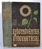 Varró Aladár Béla: Gyógynövények gyógyhatásai. Hazai gyógynövényeink ismertetése, gyűjtésének módja és felhasználásuk a mindennapi életben az egészség szolgálatában. 17 táblán 70 színes képpel 95 egyszínű képpel és 6 egyszínű táblával. Kopottas, a gerincén sérült, megnyílt kiadói félvászon-kötésben.