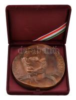 Vígh Tamás (1926-2010) 1994. "Vasvári Pál emlékérem" egyoldalas öntött Br plakett (83-84mm) T:2  Hungary 1994. "Pál Vasvári Commemorative Medallion" one-sided Br plaque. Sign.: Tamás Vígh (83-84mm) C:XF