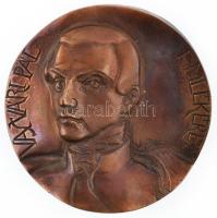Vígh Tamás (1926-2010) 1994. "Vasvári Pál emlékérem" egyoldalas öntött Br plakett (83-84mm...