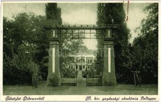 Debrecen - 16 db régi városképes képeslap, Herbich László pecsétjeivel az 1929-1934 közötti időszakb...