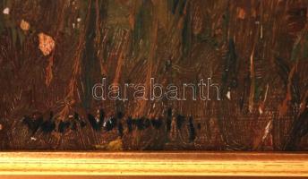 Vári jelzéssel: Esti hangulat. Olaj, falemez, jelzett, 44×54 cm