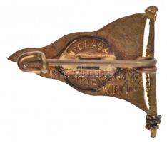 Ausztria ~1930. Zománcozott zászló alakú hajózási jelvény T:1-,2
Austria ~1930. Enamelled flag shap...