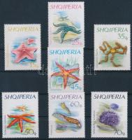 Tüskésbőrű állatok sor Echinoderms set