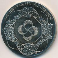 Hollandia DN "100 Gulden bankjegy - Hollandia 1993-2001" ezüstözött érem bankjegy ábrázolá...