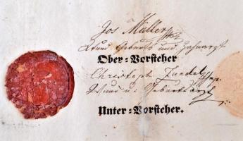 1849 Fogorvosi Céhlevél, Sopron, restaurált, törött viaszpecséttel, feltekerve,  40x52cm