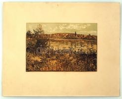 Lunczer Anikó (1942-): Dunapart. Színes linómetszet, papír, jelzett, 20×30 cm
