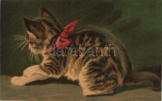 Macska / Cat, Wenau Pastell