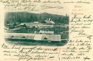 Bukowina Bajaschescul Steamsaw-mill