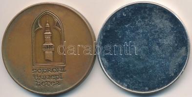 1987. "Sör Fesztivál Sopron / Soproni Ünnepi Hetek" Br emlékérem (42,5mm) + DN "Gamma...