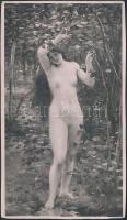 cca 1910 Erotikus nyomat / Erotic print 9x15 cm