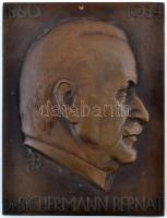 Beck Ötvös Fülöp (1873-1945): Dr. Sichermann Bernát(1860-1934). Bronz plakett, jelzett, 23x18 cm