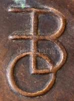 Beck Ötvös Fülöp (1873-1945): Dr. Sichermann Bernát(1860-1934). Bronz plakett, jelzett, 23x18 cm