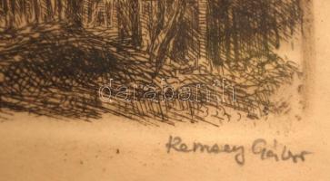 Remsey Gábor (1925-1999): Fák. Rézkarc, papír,  jelzett, üvegezett keretben, 12×10 cm