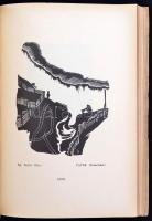 Vásárhelyi Z. Emil: Erdélyi művészek.
Kolozsvár, 1934, Erdélyi Szépmíves Céh. 134 p. LXIV. t. Kiadó...