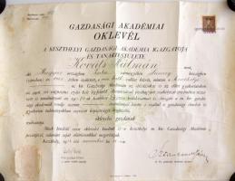 1928 A Keszthelyi Gazdasági Akadémia okleveles gazda bizonyítványa. Tokkal.