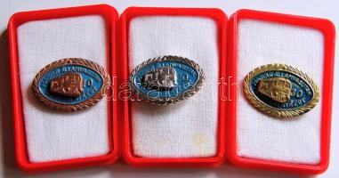 MÁV-Törzsgárda jelvény 10-20-30év (3klf), eredeti tokban T:1