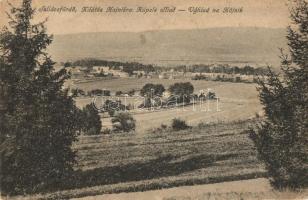 Szliácsfürdő, Sliac; kilátás a Hajnik városrészre / view of the towns Hájniky part (EB)