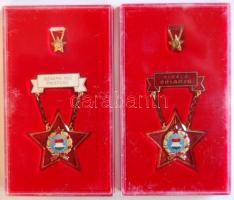 "Szakma ifjú mestere" és "Kiváló dolgozó" szocialista kitüntetés, eredeti tokban T:1