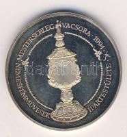 1994. "Nemesfémművesek ipartestülete" Ag emlékérem 36,11g T:PP Eredeti díszdobozban!