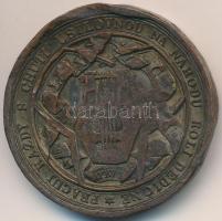 Habsburg Birodalom ~1860. "Jan Kollár" kétoldalas Br érem. Szign.: Wenzel Seidan (37,5mm) ...