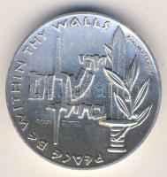 Izrael modern Ag emlékérem 30g T:2