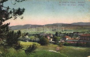 33 db RÉGI városképes képeslap, Délvidék és Horvátország, vegyes minőség / 33 old town view postcard...