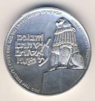 Izrael modern Ag emlékérem 30g T:2