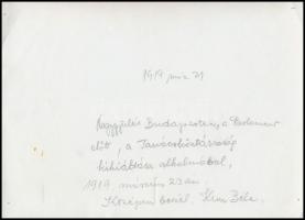 1919. március 21. Budapesti nagygyűlés a Parlament előtt, középen a tömegben Kun Béla beszél, később...